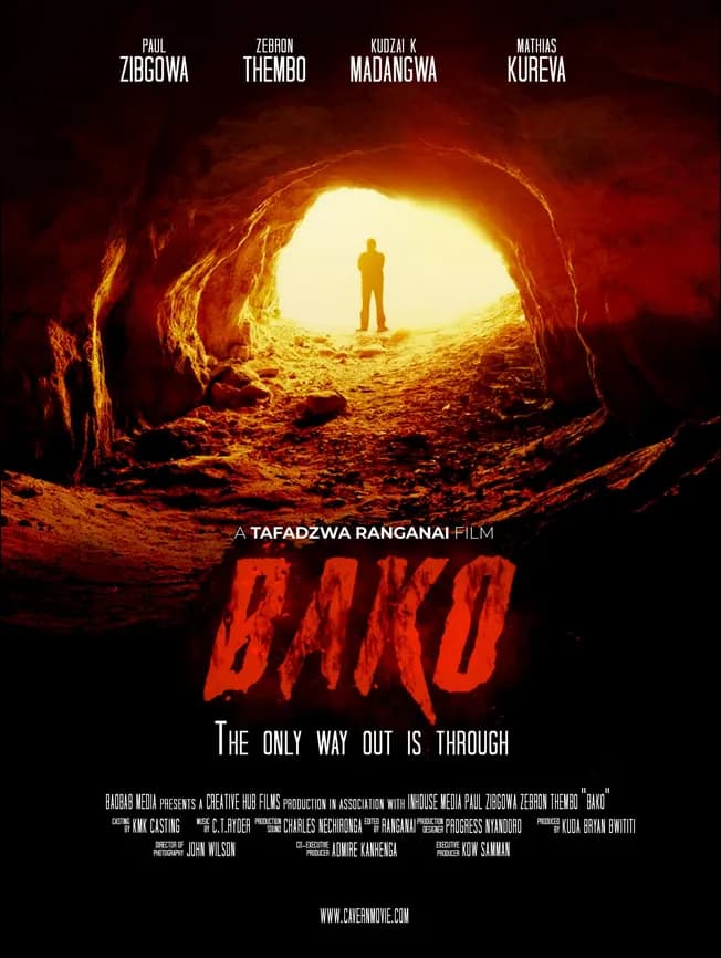 Bako goes to Seoul: Zimbabwean Film at the 8th Africa Film Festival — main photo