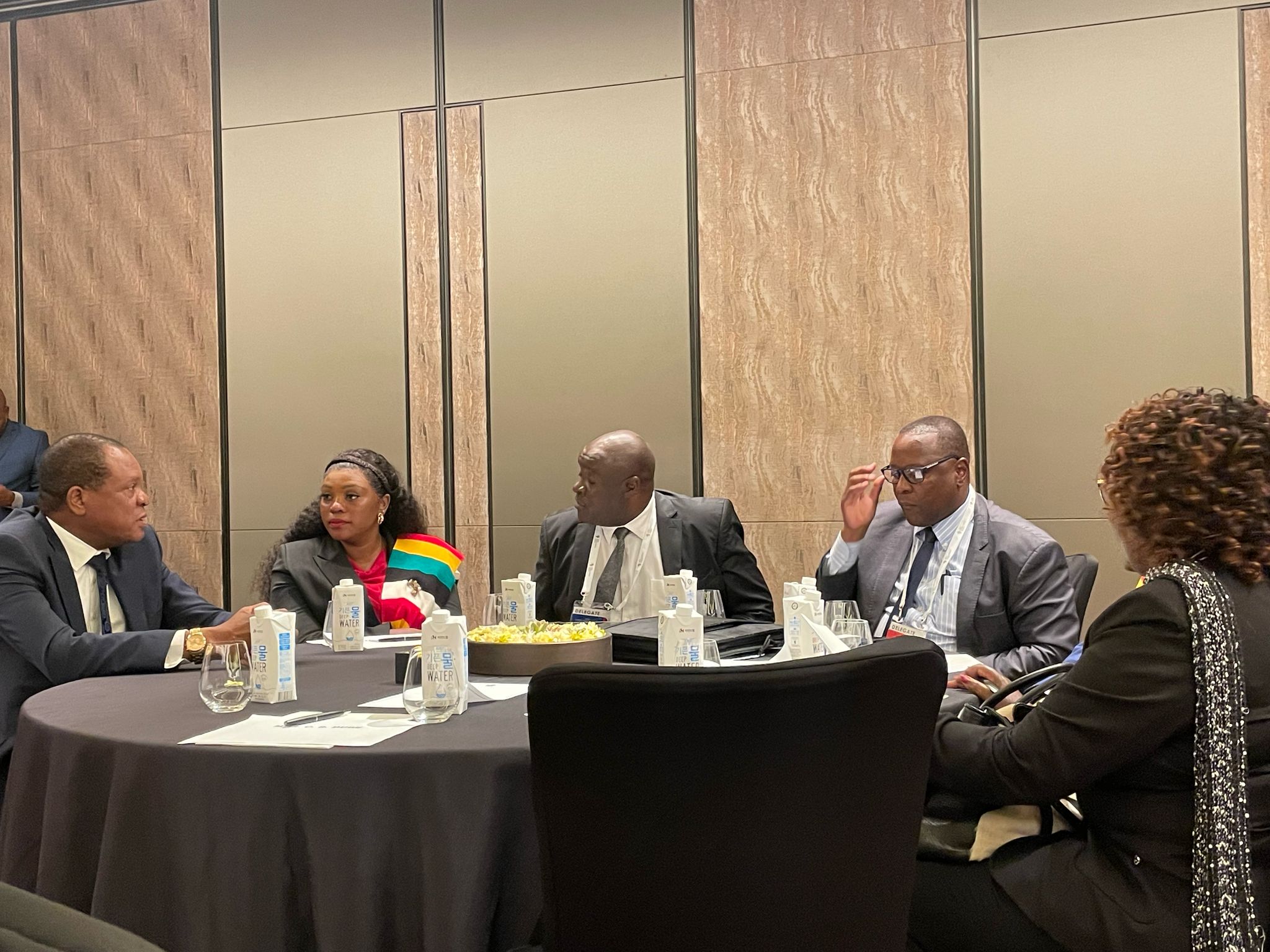 Zimbabwean President Diaspora Engagement meeting 2025  photo 4