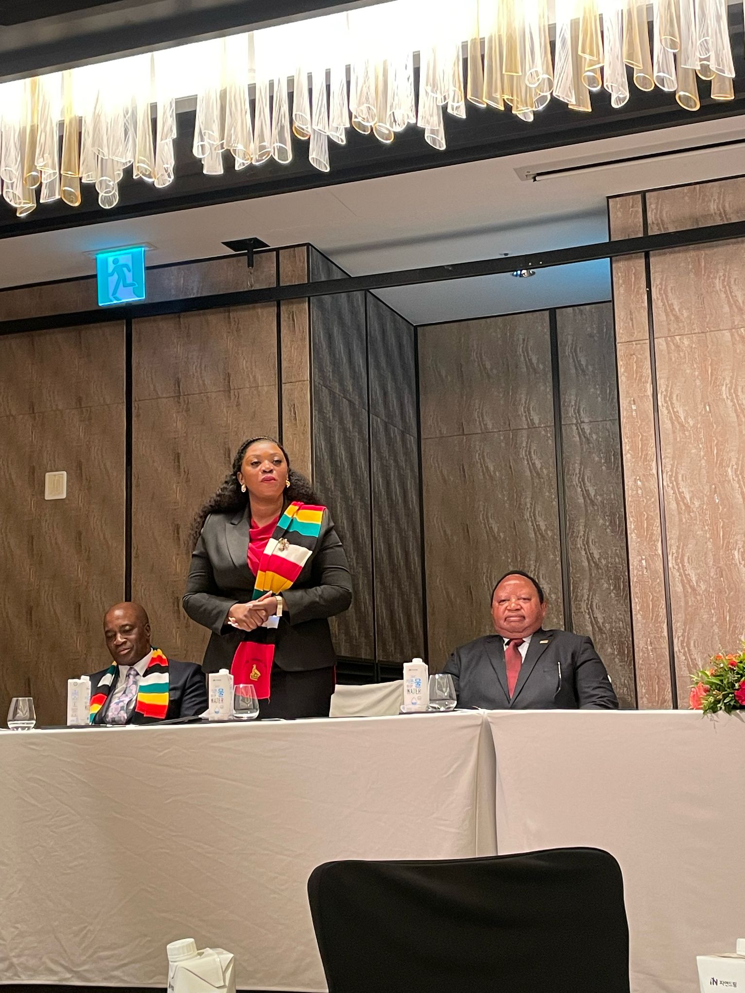 Zimbabwean President Diaspora Engagement meeting 2025  photo 6